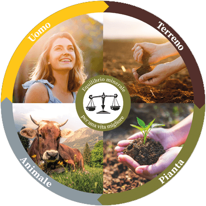 Sistemi Vitali Reico